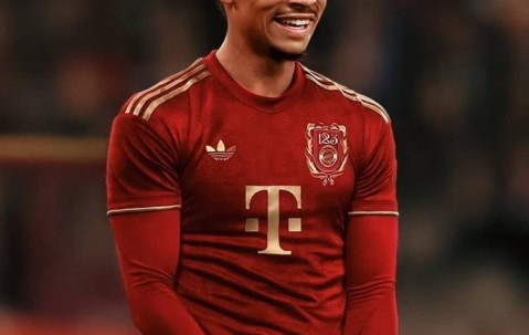 开云-拜仁后卫神勇救险，助球队成功保级，人民类型.的简单介绍