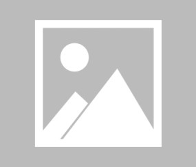 开云下载-穆古鲁扎重返赛场，表现优异首场状态出色，掘金观众沸腾！